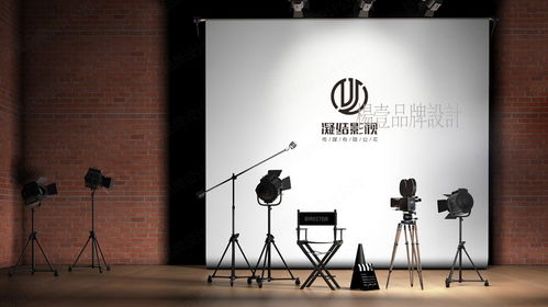 西安杨壹品牌设计 影视公司Logo与VI设计的专业之道